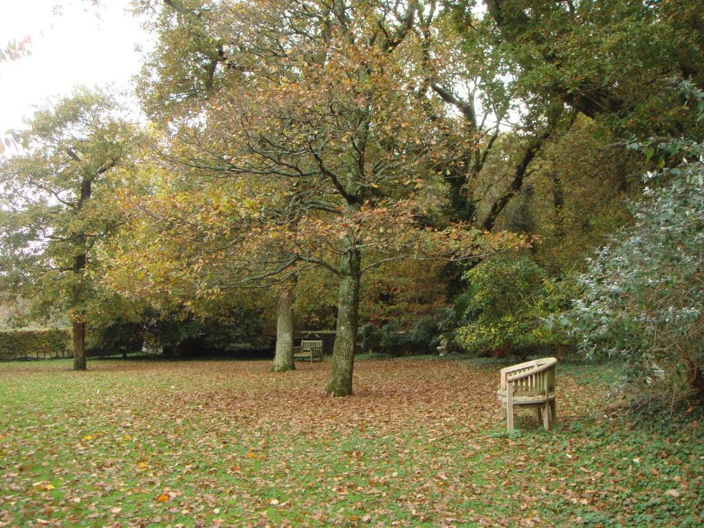 Yellowham Farm, Dorchester Higher Bockhampton Екстериор снимка