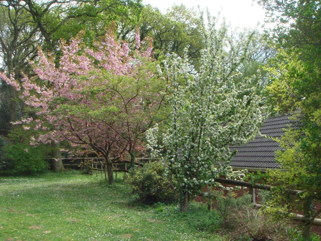 Yellowham Farm, Dorchester Higher Bockhampton Екстериор снимка