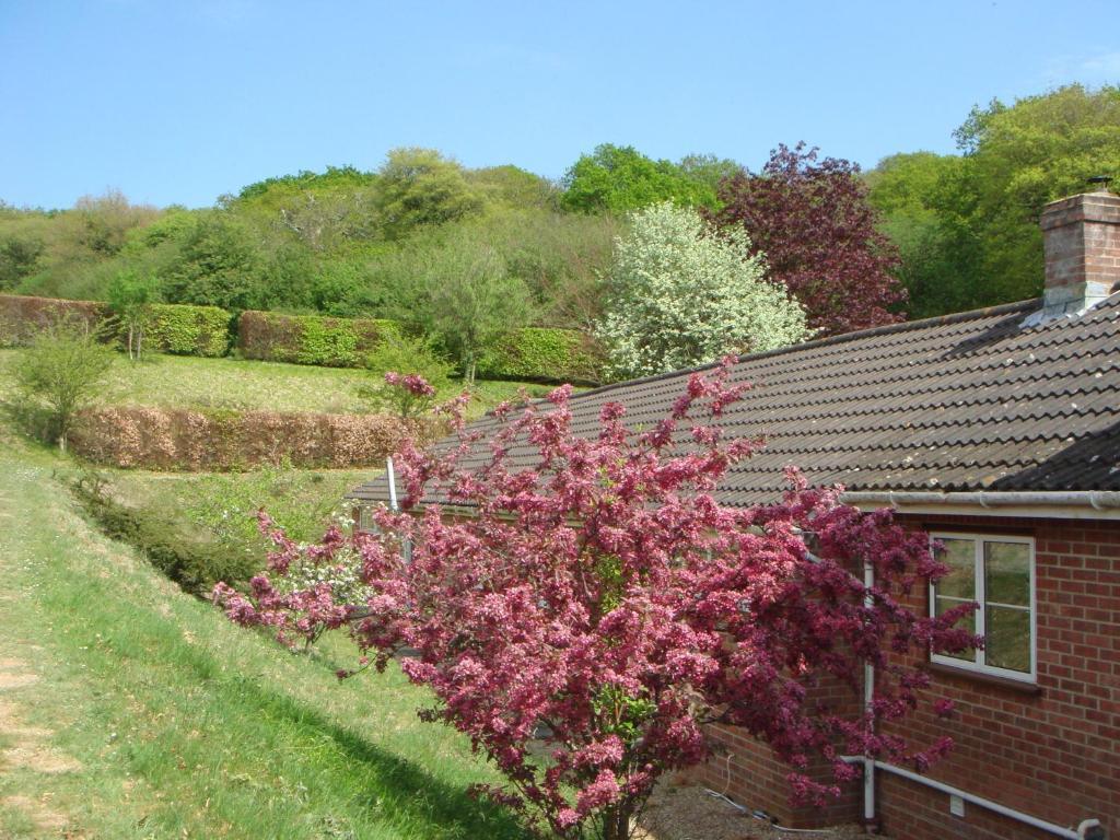 Yellowham Farm, Dorchester Higher Bockhampton Екстериор снимка