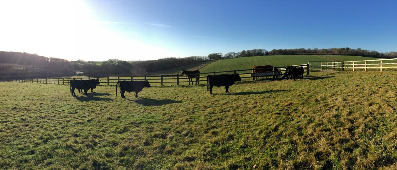 Yellowham Farm, Dorchester Higher Bockhampton Екстериор снимка